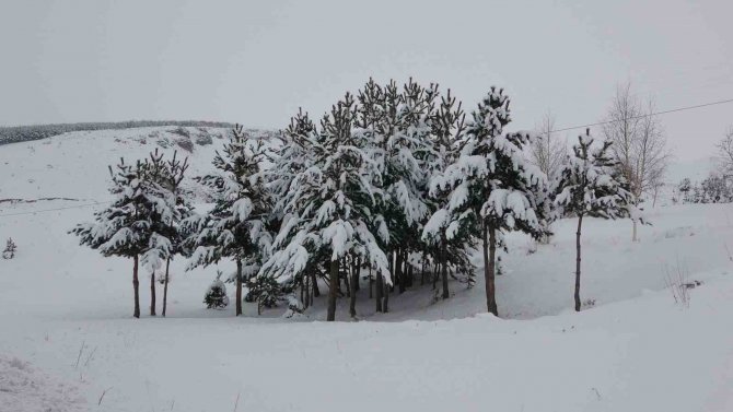 Ardahan’da Sibirya Soğukları Yerini Kar Yağışına Bıraktı