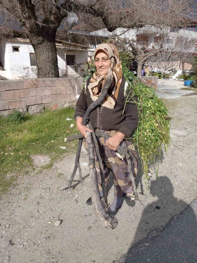 68 Yaşındaki Müşerref Teyze, Hayvanları Sayesinde Genç Kalıyor