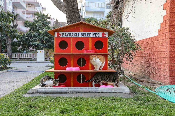 Bayraklı Belediyesi Can Dostları Unutmadı