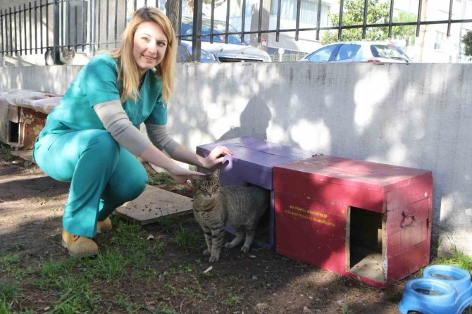 Bayraklı Belediyesi Can Dostları Unutmadı