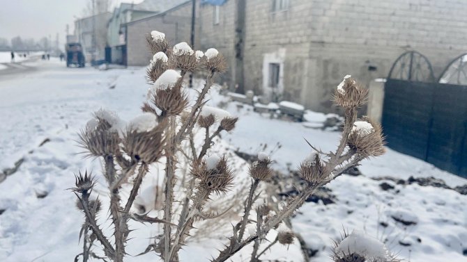 Ağrı Beyaza Büründü