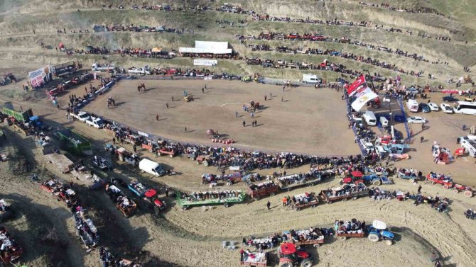 Deve Güreşleri Tutkunları, Türkiye’nin Tek Doğal Aranasında Buluştu