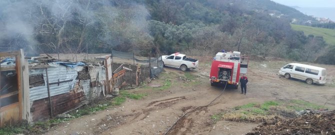 Yalova Esenköy’de Baraka Yangını