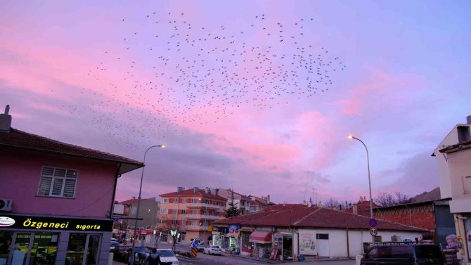 Tablo Gibi Gökyüzüne Sığırcık Sürüsünden Fırça Darbeleri