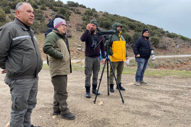 Denizli’de 33 Farklı Türde 29 Bin 794 Kuş Sayıldı