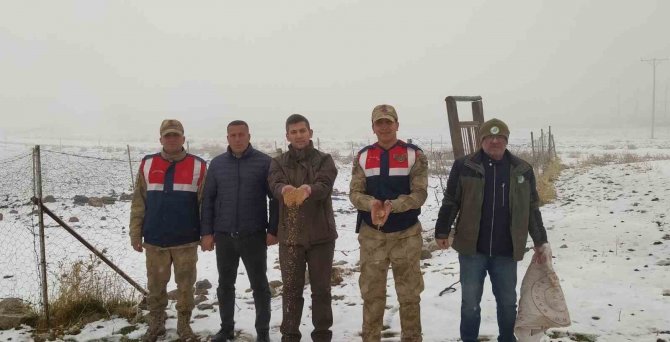 Siirt’te Yaban Hayvanları Unutulmadı, Birçok Noktaya Yem Bırakıldı