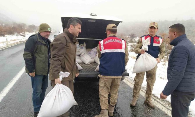 Siirt’te Yaban Hayvanları Unutulmadı, Birçok Noktaya Yem Bırakıldı