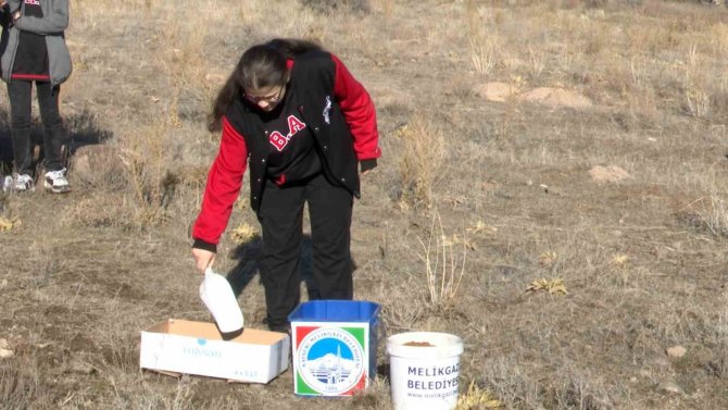 Melikgazi Belediyesi Ve Öğrenciler Sokak Hayvanlarına Mama Dağıttı