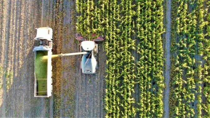 Tarım Arazilerinin Etkin Kullanımı İle Bitkisel Üretimin Geliştirilmesi İçin Devletten Üreticiye Destek