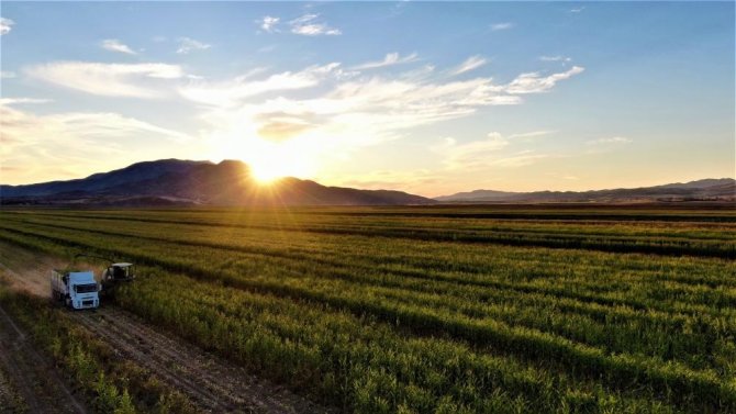 Tarım Arazilerinin Etkin Kullanımı İle Bitkisel Üretimin Geliştirilmesi İçin Devletten Üreticiye Destek