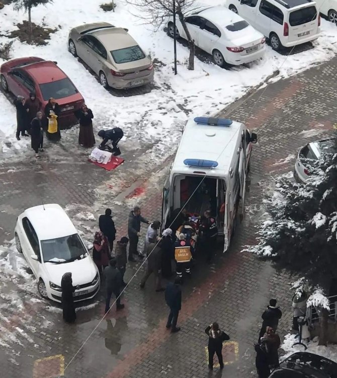 Van’da Köpek Saldırısına Uğrayan Küçük Çocuk Ağır Yaralandı