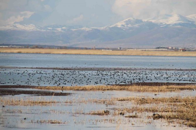 Prof. Dr. Hüseyin Muşmal: “Beyşehir Gölü Kurursa, Konya Ovası Da Kurur”