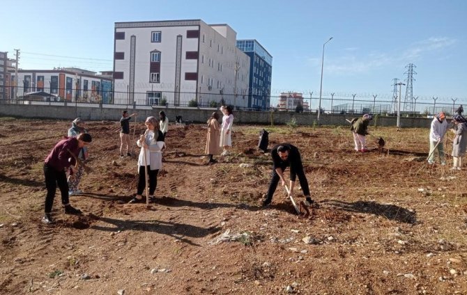 Öğrenciler Yurt Bahçesine Fidan Dikti