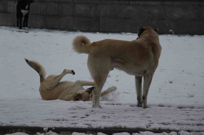 Ankara’da Etkili Olan Kar, Havadan Görüntülendi