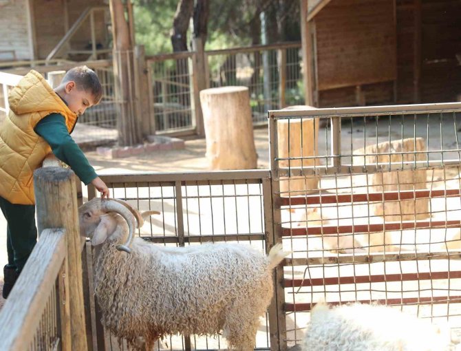 127 Türde Hayvana Ev Sahipliğini Yapan Yaşam Parkına Yoğun İlgi