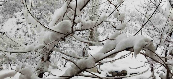 Batman’da Kar Yağışı Etkili Oldu: Köy Yolları Ulaşıma Kapandı