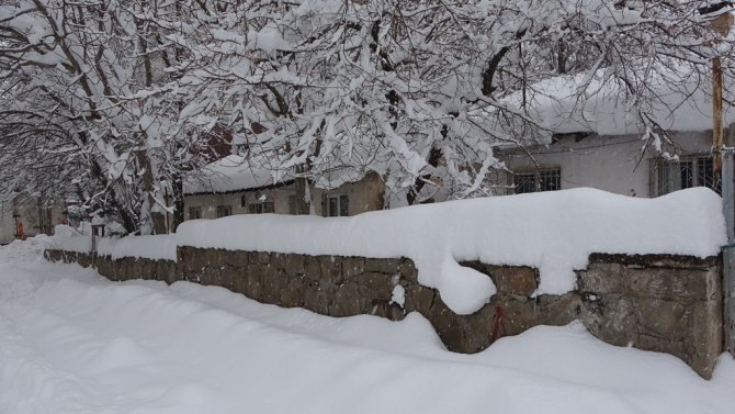 Bitlis’te Tek Katlı Evler Ve Arabalar Kara Gömüldü