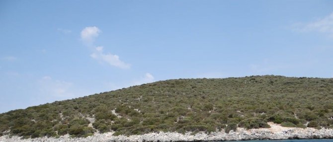 Bodrum’da Satılık Adanın Fiyatı Dudak Uçuklattı