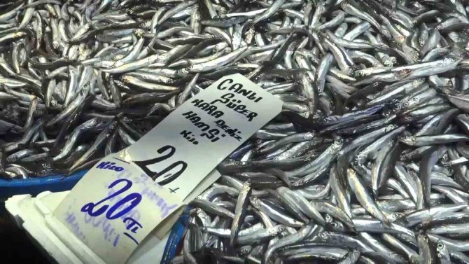 Havalar Soğudu, Balık Tezgahlarına Bereket Geldi