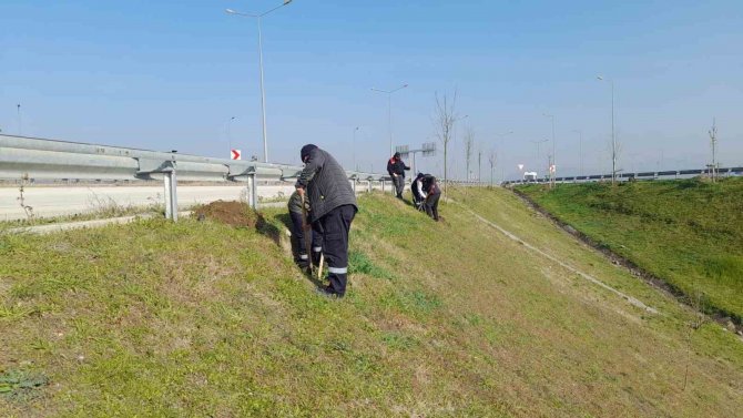 Düzce’yi Park Ve Bahçeler Güzelleştiriyor