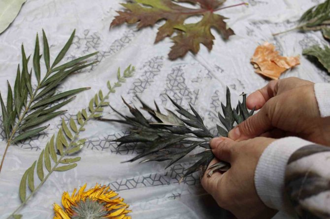 Ekoloji Baskı Ürünleriyle Doğanın İmzasını Alıyor