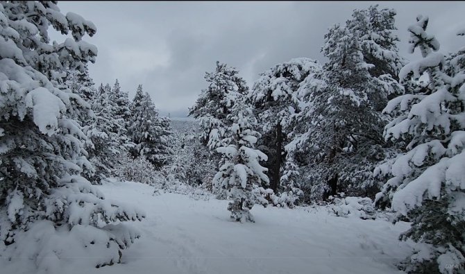 Kütahya’nın Bin 826 Rakımlı Türkmen Dağı Beyaz Gelinliğini Giydi
