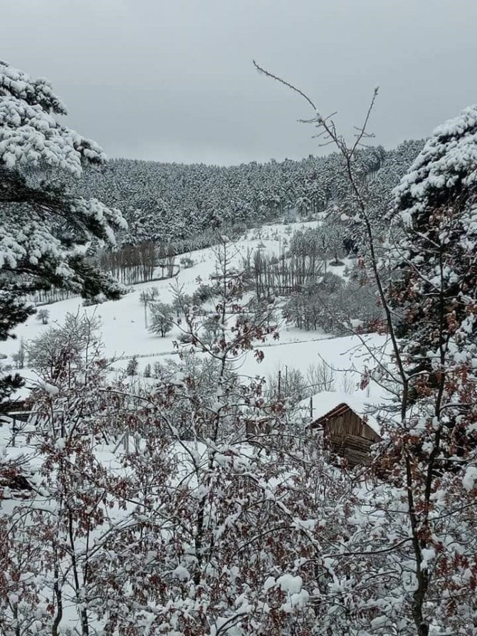 Mihalıççık’ta Geyiklerin Kar Keyfi