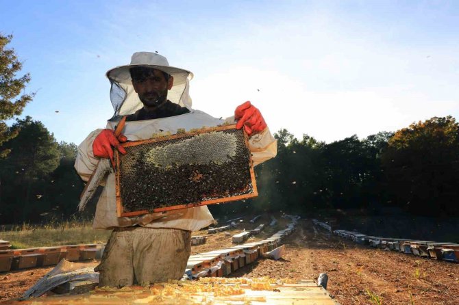 Muğlalı Bal Üreticisine Büyükşehir’den Destek