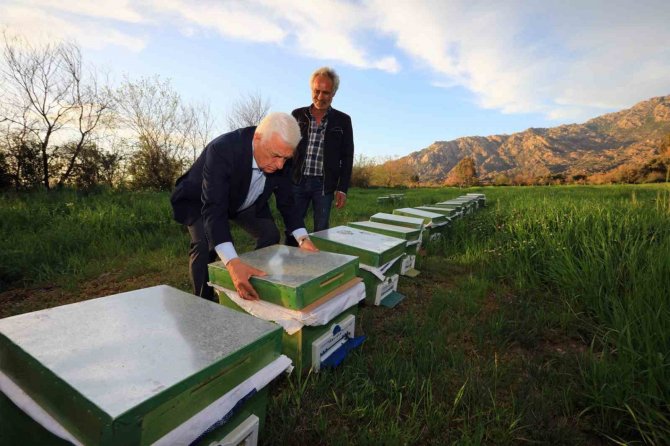 Muğlalı Bal Üreticisine Büyükşehir’den Destek