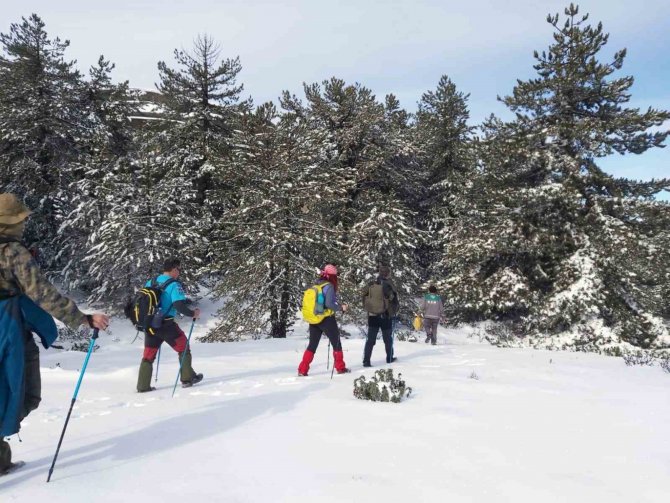 Muğlalı Doğaseverlerden Karlı Madran Dağı Yürüyüşü