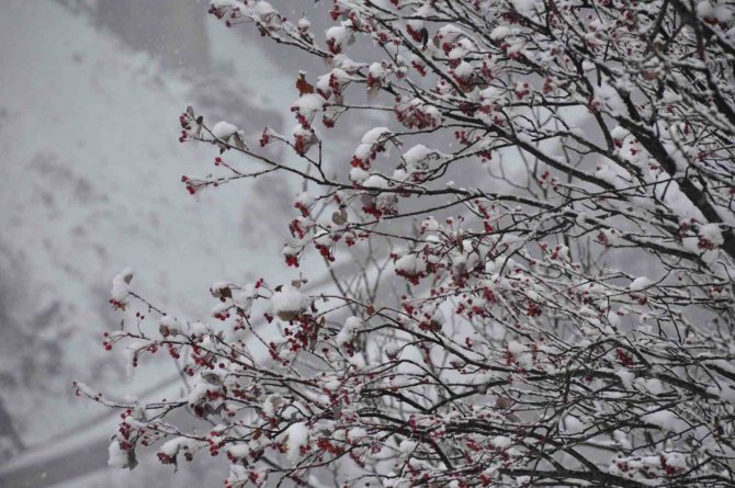 Pülümür Vadisi’nde Kış Güzelliği