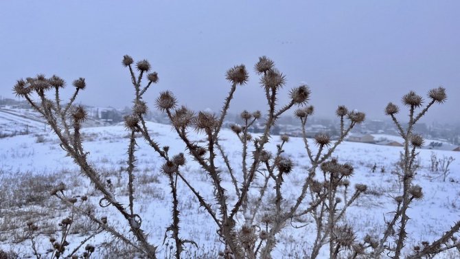 Ağrı, Beyaz Örtüsüyle Göz Kamaştırdı