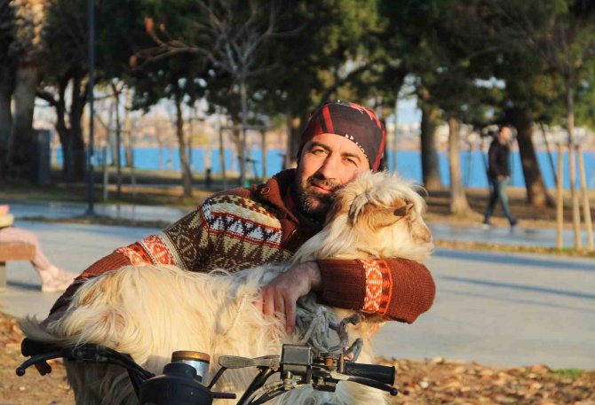 İ̇şletmesinin Maskotu Kayıp Keçisine Kavuşunca Büyük Mutluluk Yaşadı