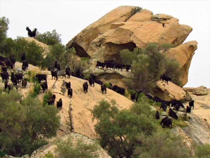 Ekodosd Susuzluğa Dikkat Çekti