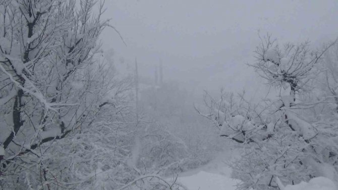 Batman’da Kar Kalınlığı 80 Santimi Geçti, 50 Yerleşim Yeri Yolu Ulaşıma Kapandı