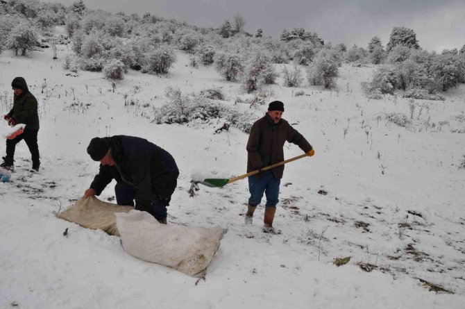Yaylalar Kayak Merkezi Haline Geldi