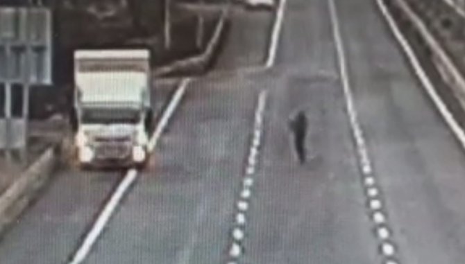 Otobüsün Camına Çarpan Şahini Duyarlı Sürücü Kurtardı, O Anlar Kamerada