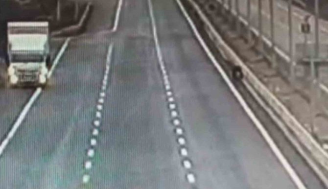 Otobüsün Camına Çarpan Şahini Duyarlı Sürücü Kurtardı, O Anlar Kamerada