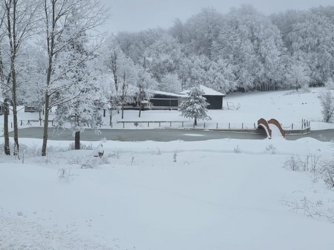 Domaniç’te Kar Kalınlığı 30 Santimetreye Ulaştı