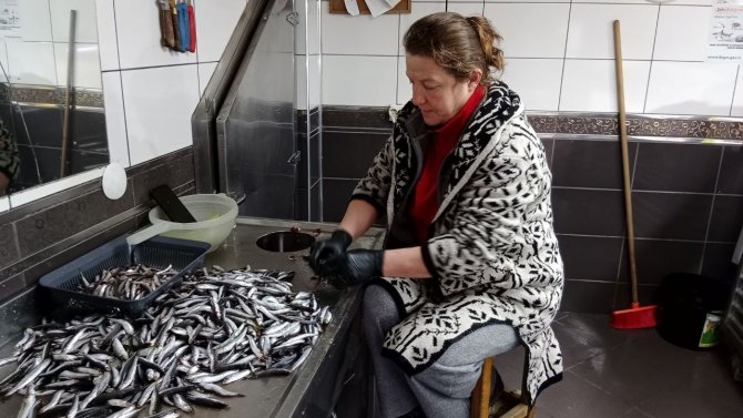 Akçakoca’da Balıkçılar Balık Azlığından Dertli