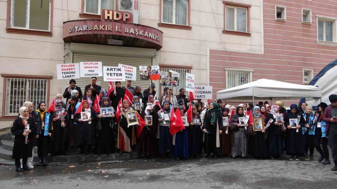 9 Yaşında Çobanlık Yaparken Kaçırılan Ağabeyini Pkk’dan İstiyor