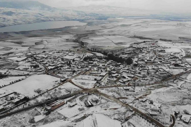 İ̇lçede ’Çiçek’ Alarmı: Onlarca Küçükbaş Hayvan Telef Oldu, Diğerleri Karantinaya Alındı