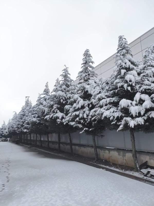 Dilovası’nda Kar Yağışı Etkili Oldu