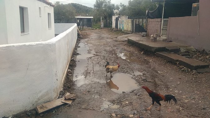 Milas Pınarcık Mahallesi Sakinlerinin Yol İsyanı