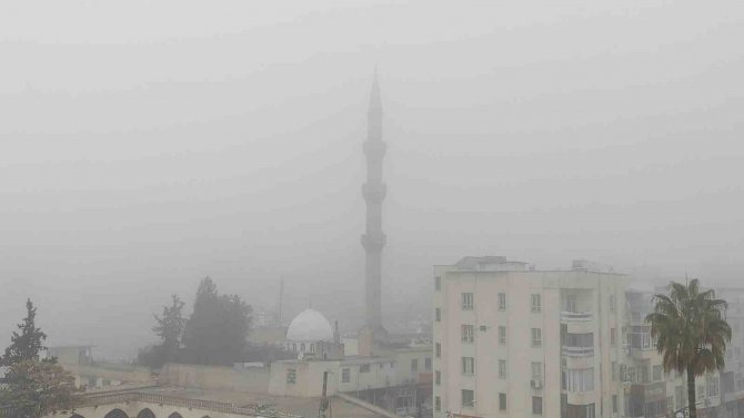 Şanlıurfa’da Yoğun Sis Etkili Oldu