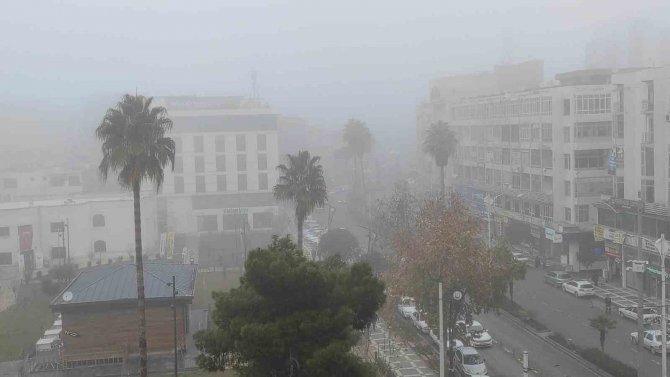 Şanlıurfa’da Yoğun Sis Etkili Oldu