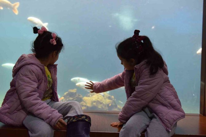 Yıldırım’da Tünel Akvaryumu 10 Günde 40 Bin Kişi Ziyaret Etti