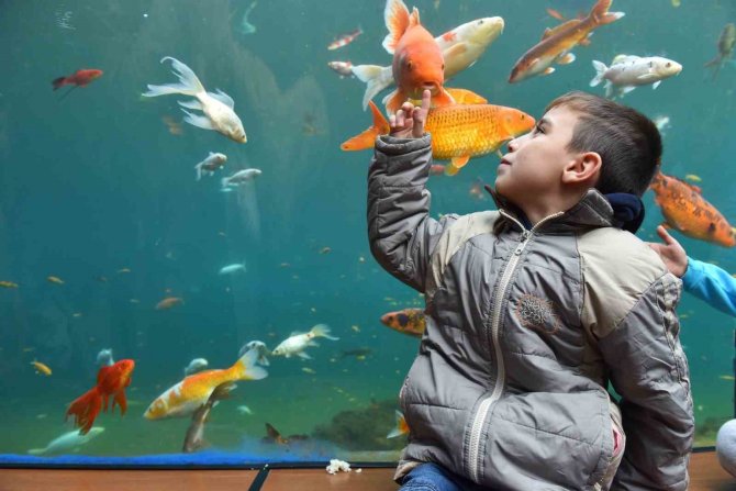 Yıldırım’da Tünel Akvaryumu 10 Günde 40 Bin Kişi Ziyaret Etti