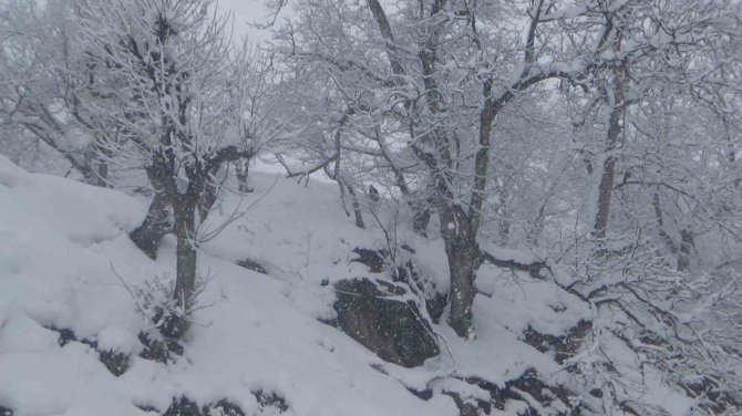 Batman’da Kar Kalınlığı 80 Santimi Geçti, 50 Yerleşim Yeri Yolu Ulaşıma Kapandı