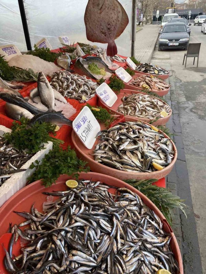 Balıkçılar Hamsi Bolluğu İçin Soğuk Havayı Bekliyor